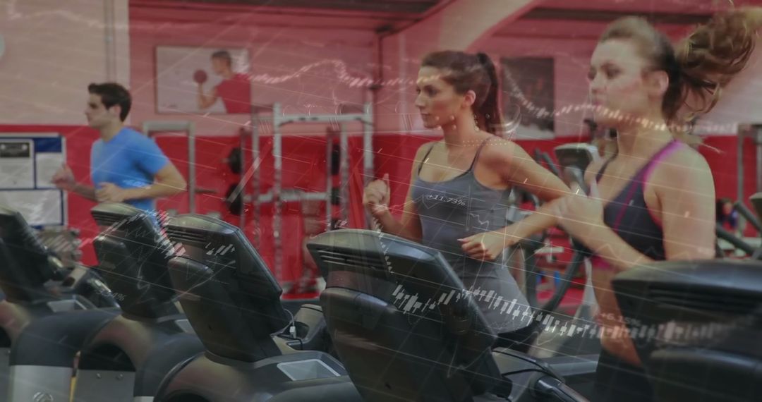 Active People Exercising on Treadmills in Gym Environment