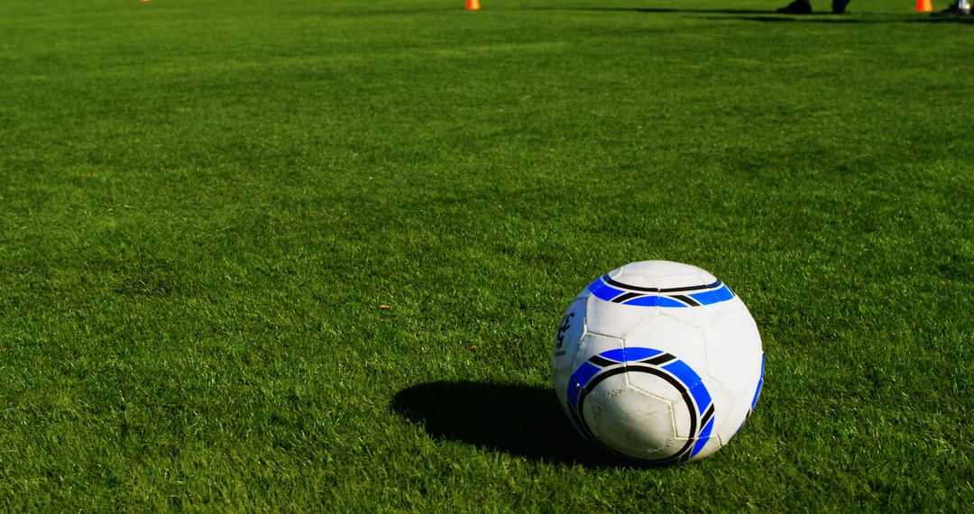 Soccer Ball on Green Field with Training Cones - Free Images, Stock Photos and Pictures on Pikwizard.com