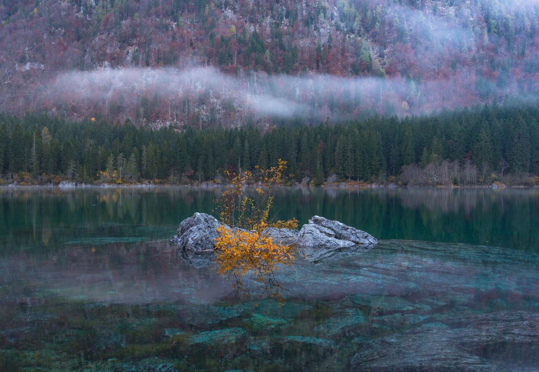 Misty Lake with Rocky Shores and Autumn Trees in Majestic Mountain Valley - Free Images, Stock Photos and Pictures on Pikwizard.com