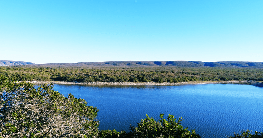 Transparent Lake Landscape With Lush Greenery and Blue Sky
