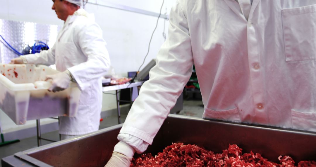 Butchers Handling Fresh Minced Meat in Industrial Kitchen - Free Images, Stock Photos and Pictures on Pikwizard.com