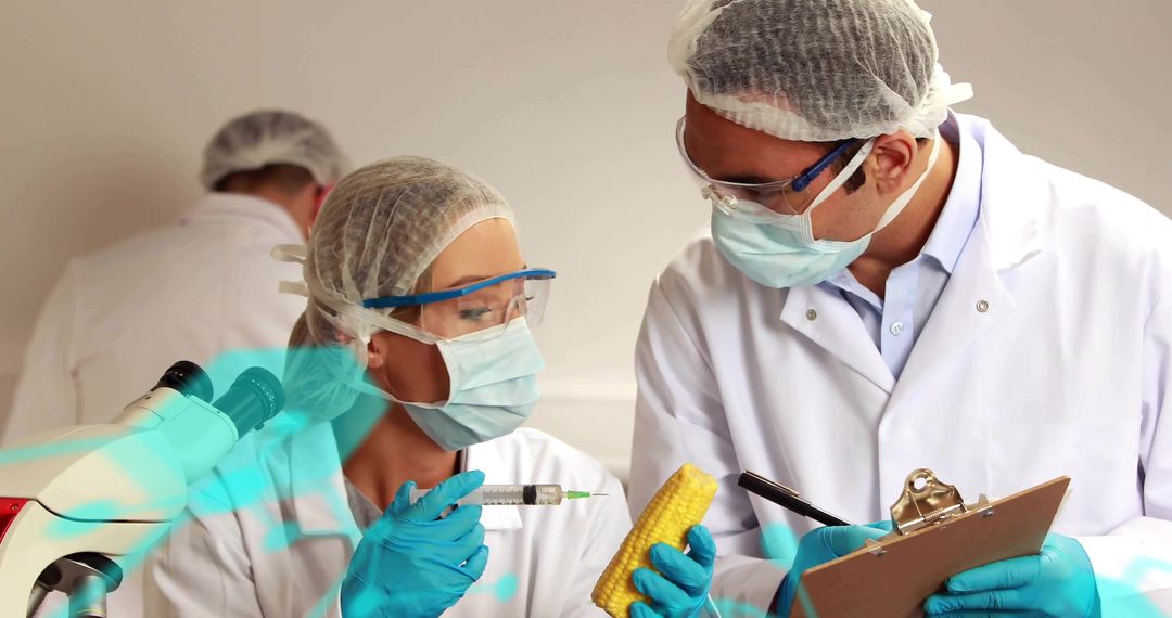 Researchers Injecting Corn Cob with Syringe during Agricultural Biotech Food Science Tests