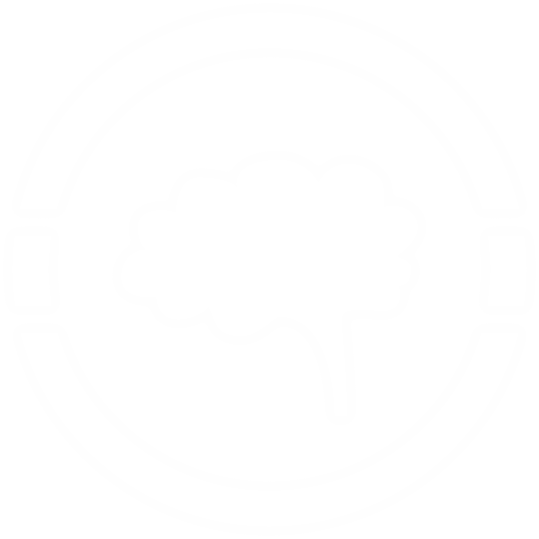 Transparent Brain Icon on White Background