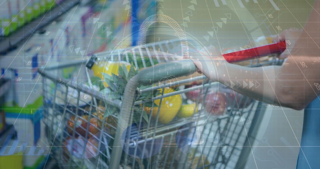 Digital Interface Shopping with Financial Data Overlay