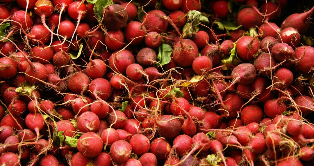 Abundant Harvest of Fresh Red Radishes in Market - Free Images, Stock Photos and Pictures on Pikwizard.com