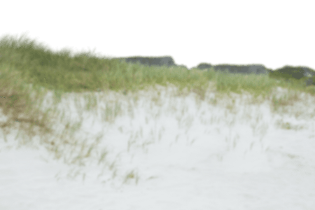 Transparent Sand Dunes with Grassy Terrain and Clear Sky