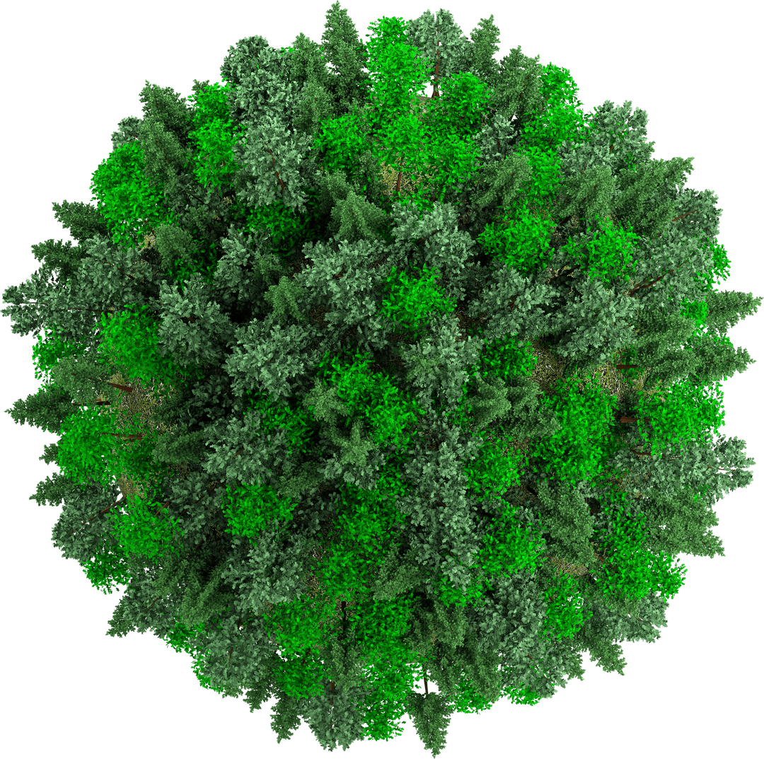 Transparent Globe of Dense Forest with Ecology Theme