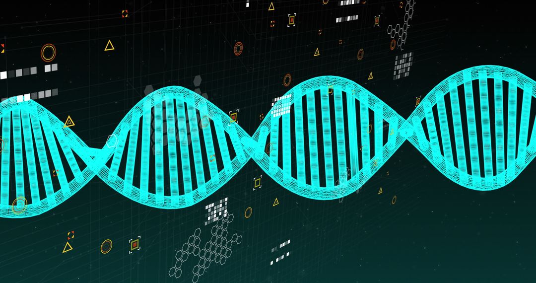 Digital Representation of DNA Strand with Data Elements Overlay