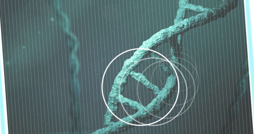 Rotating DNA Strand with Digital Overlay