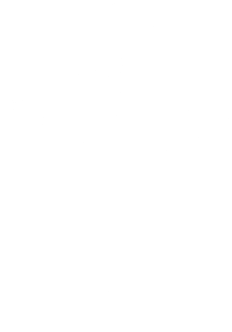 Silhouette of Hand Holding Various Household Tools on Transparent Background - Download Free Stock Images Pikwizard.com