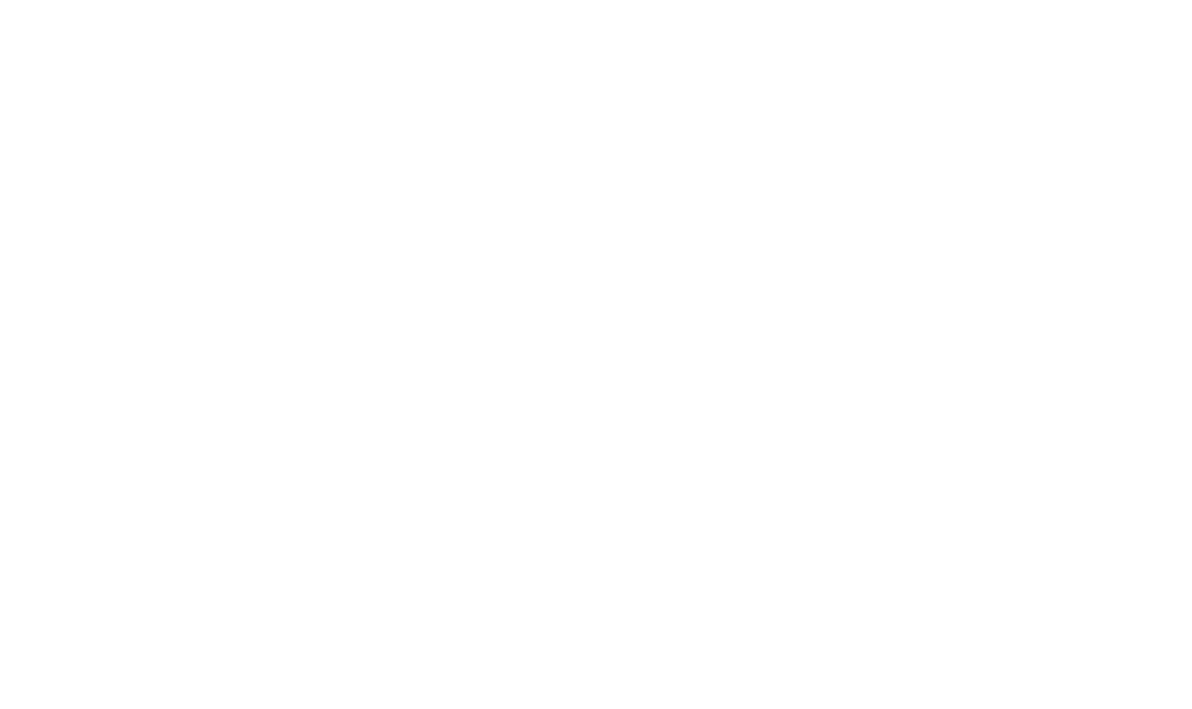 Transparent Geometric Holly Decoration Outline