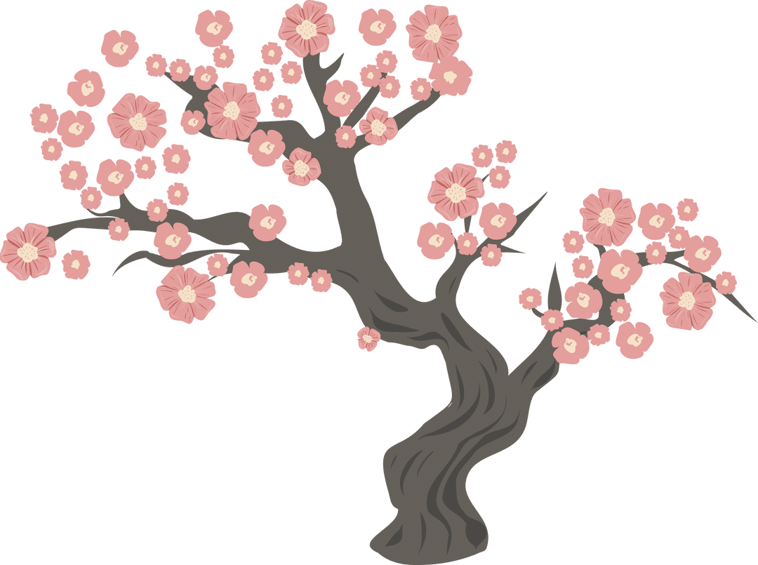 Cherry Blossom Tree with Pink Blooms on Transparent Background