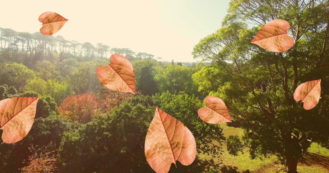 Floating Orange Leaves in Serene Park Set Against a Crisp Autumn Sky