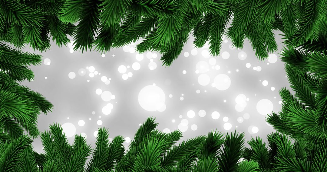 Festive Fir Tree Border with Glowing Background