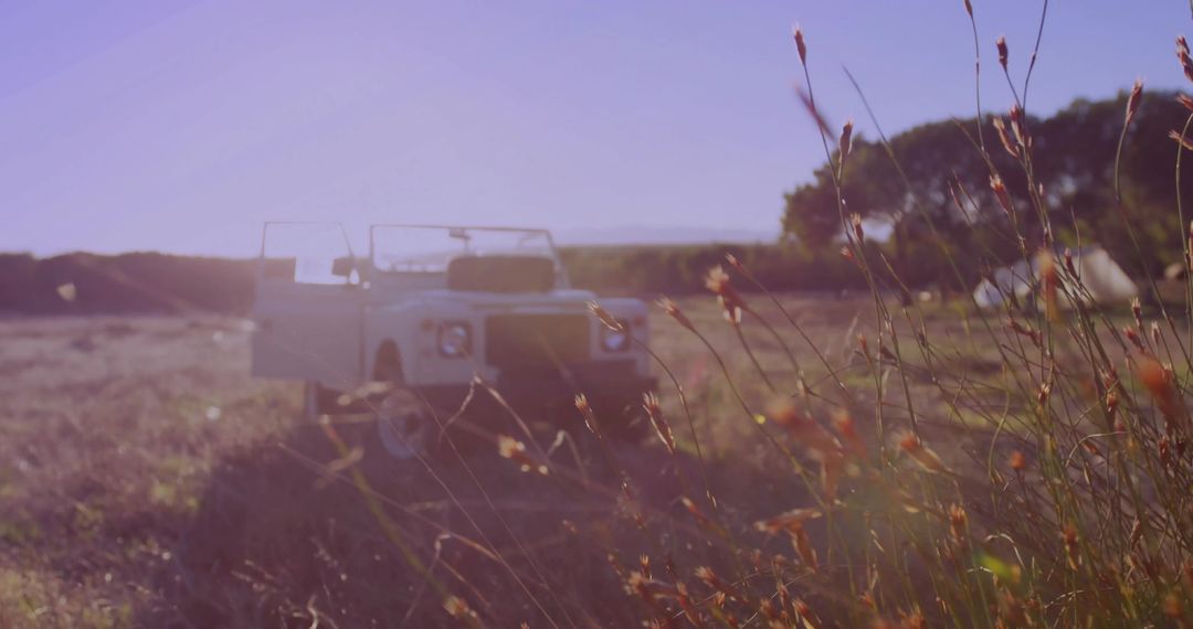 Rustic Exploration with White Open-Top 4x4 in Wildflower Meadow