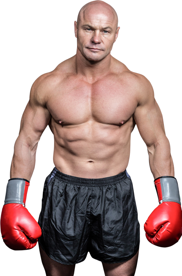 Bald Boxing Athlete Standing with Red Gloves in Transparent Background - Download Free Stock Images Pikwizard.com