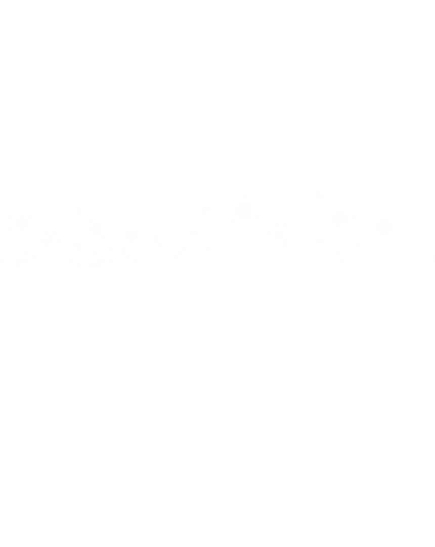 Festive Christmas Snowflake Border on Transparent Background