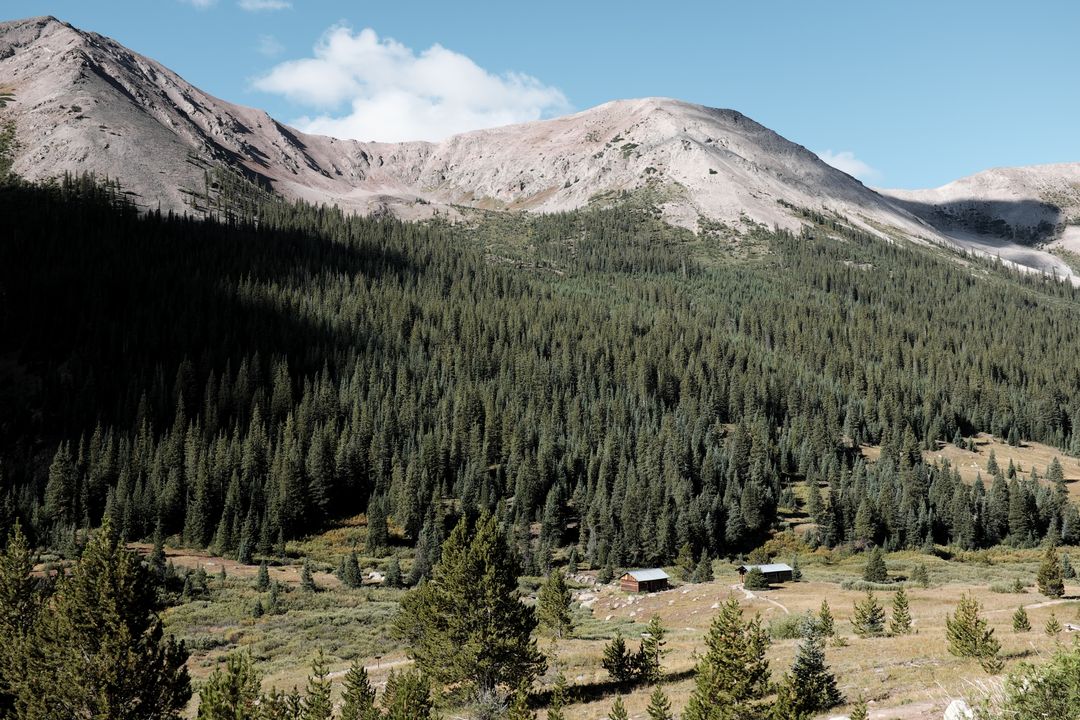 Serene Mountain Landscape with Pine Forest and Cabins