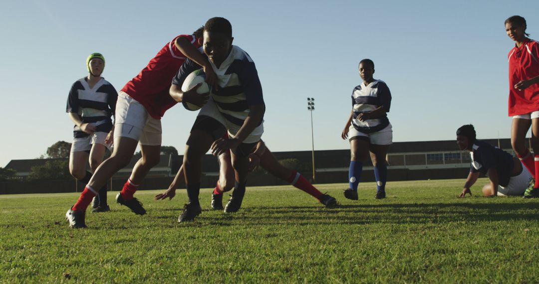 Diverse Rugby Team During Intense Match on Sunny Field - Free Images, Stock Photos and Pictures on Pikwizard.com