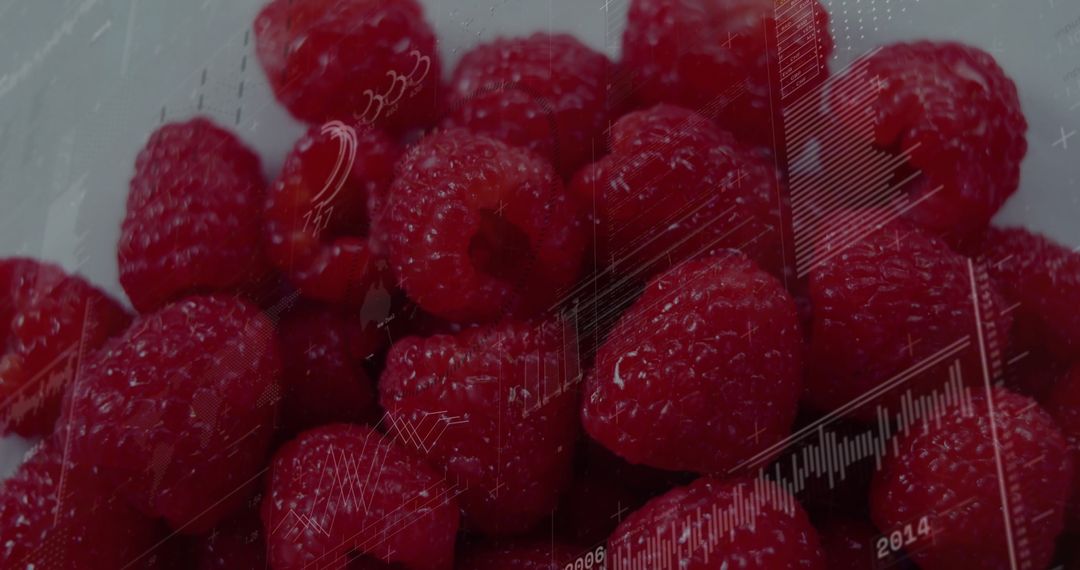 Fresh Raspberries with Data Visualization Overlay