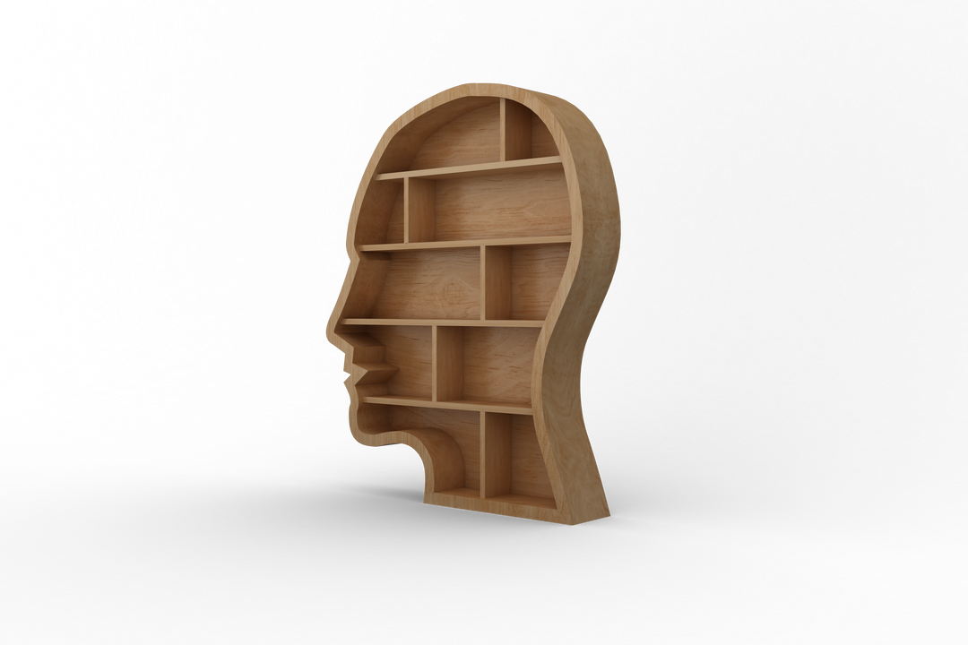 Transparent Wooden Head Shelves Illustration for Psychological Concepts - Download Free Stock Images Pikwizard.com