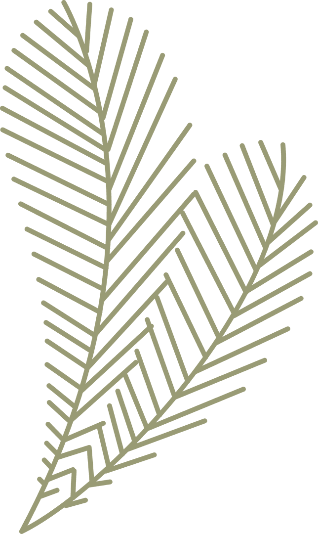 Minimalist Tropical Palm Fronds Line Art Design Transparent Background
