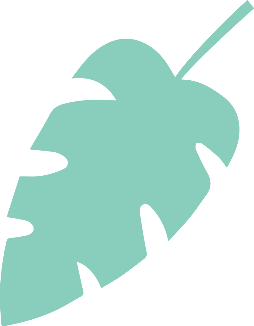 Minimalist Tropical Leaf Design on Transparent Background