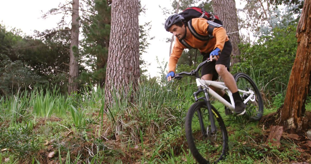 Man Riding Mountain Bike on Forest Trail - Free Images, Stock Photos and Pictures on Pikwizard.com