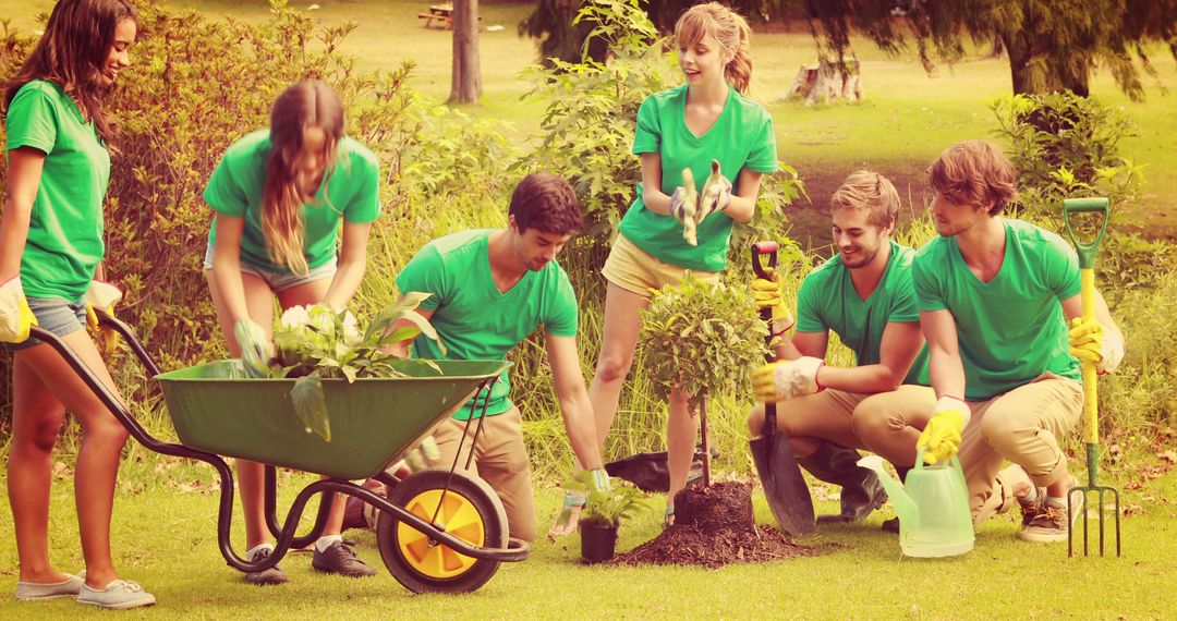 Volunteers Planting Trees and Gardening in Park - Free Images, Stock Photos and Pictures on Pikwizard.com