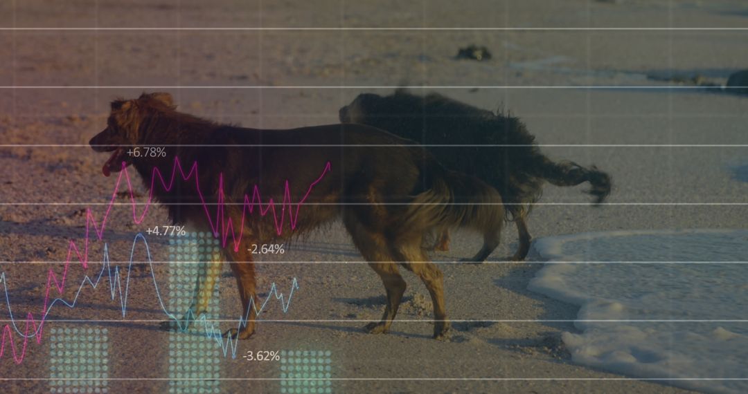 Beach Dogs with Graphical Data Overlay Creating Fusion of Nature and Technology