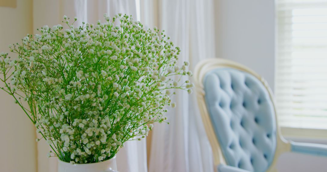 Fresh Baby's Breath Flowers in White Pot near Soft Blue Armchair - Free Images, Stock Photos and Pictures on Pikwizard.com