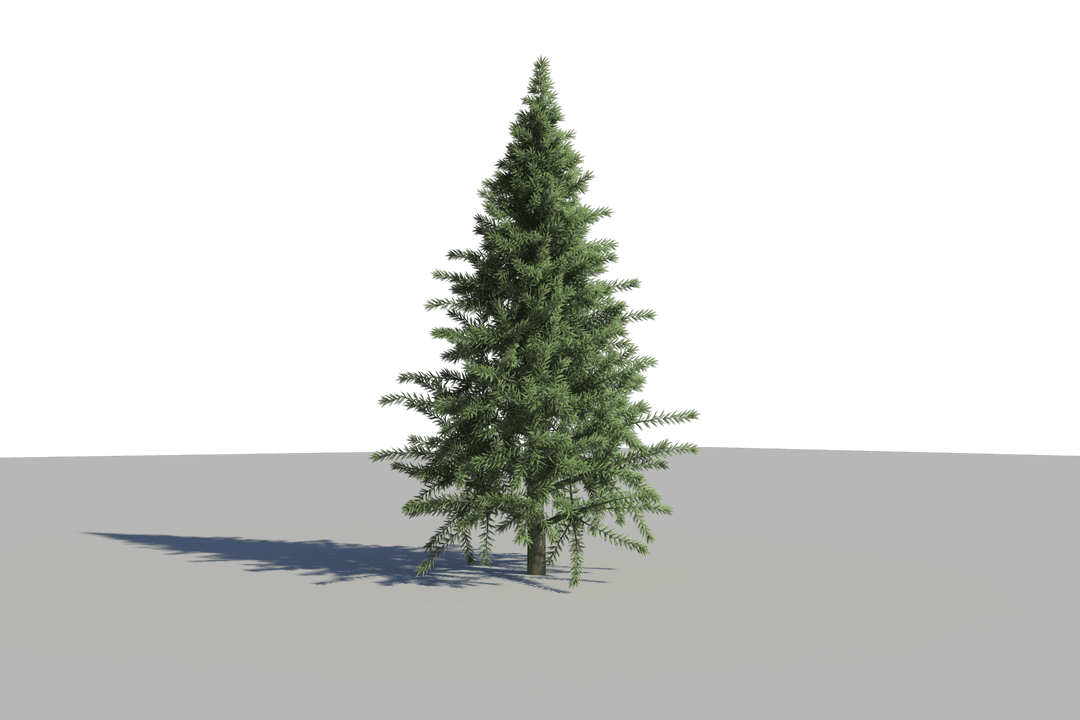 Digital Christmas Tree Illustration on Transparent Background