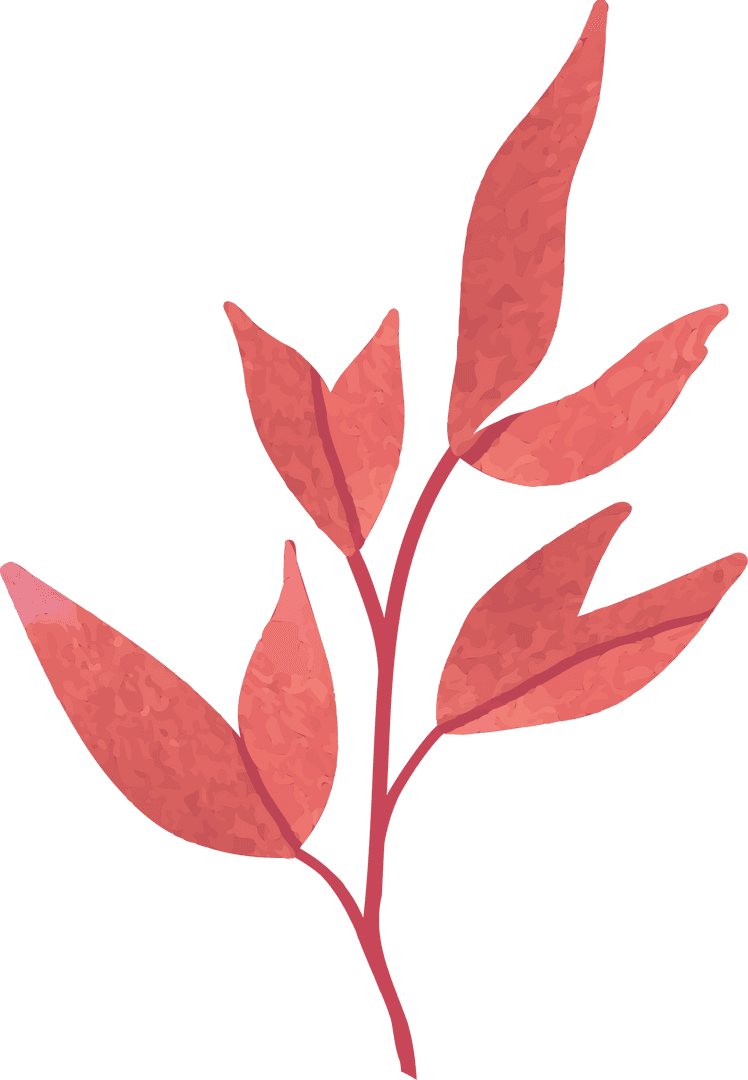 Vibrant Red-Pink Watercolor Botanical Branch on Transparent Background