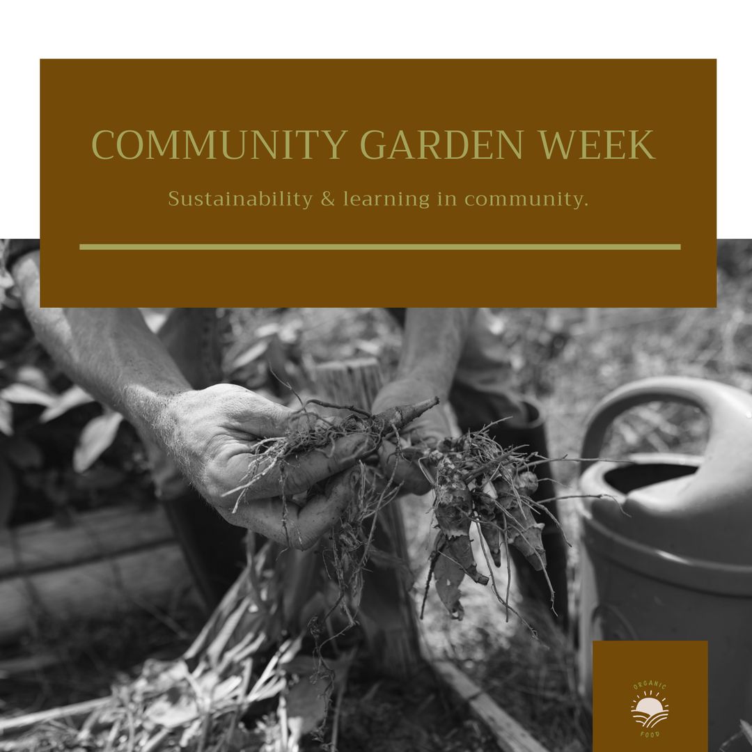 Caucasian Man Participating in Community Garden Week Event