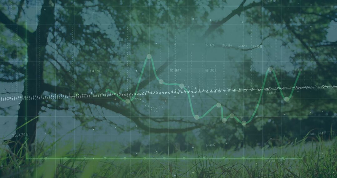 Data Visualization of Environmental Trends in Forest Landscape