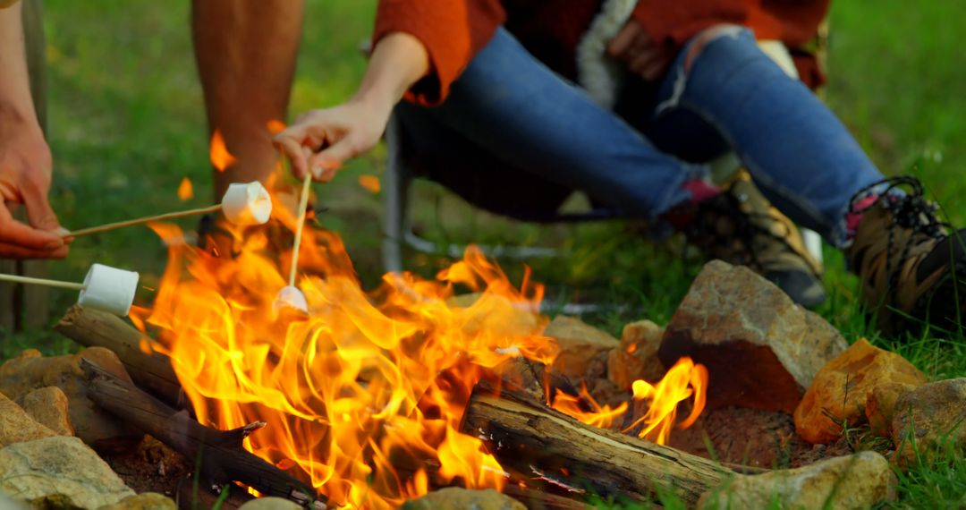 Friends Roasting Marshmallows Over Campfire in Forest - Free Images, Stock Photos and Pictures on Pikwizard.com