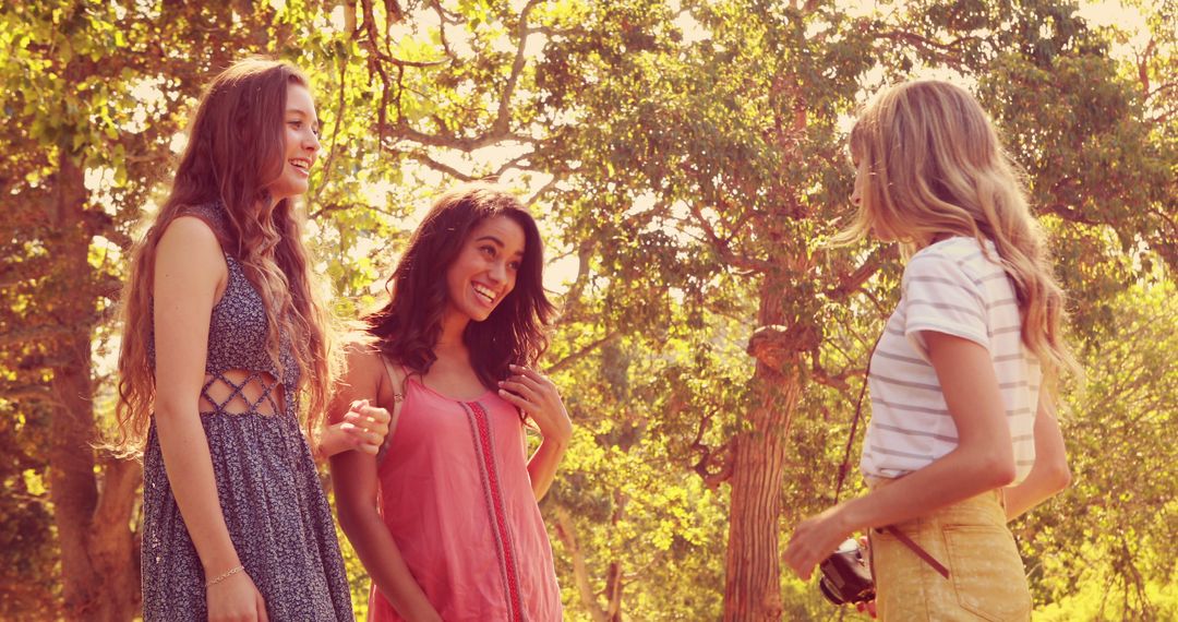 Young Women Socializing in Sunny Park - Free Images, Stock Photos and Pictures on Pikwizard.com