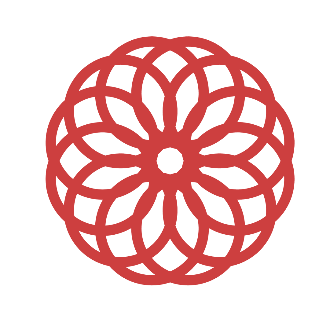 Red Floral Geometric Pattern on Transparent Background