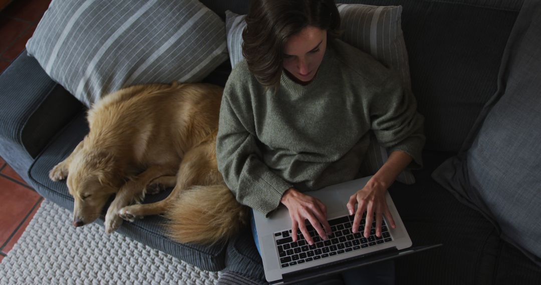 Woman Working on Laptop with Dog Relaxing Beside on Couch - Free Images, Stock Photos and Pictures on Pikwizard.com