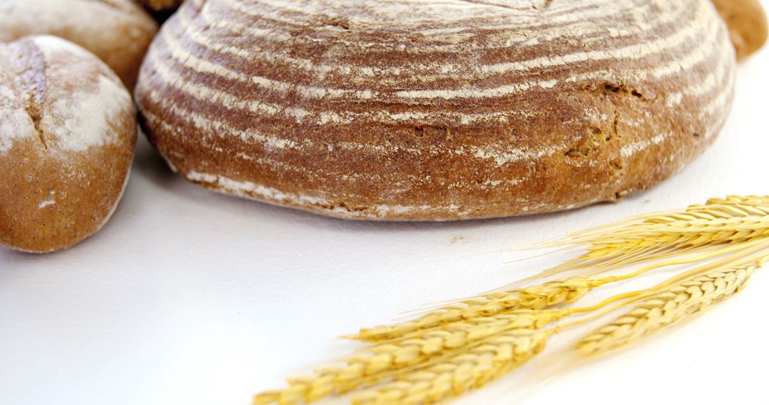 Rustic Bread Loaf with Wheat Ears on White Background - Free Images, Stock Photos and Pictures on Pikwizard.com