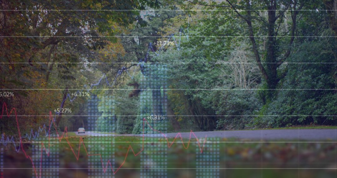 Financial Data Overlaying Tranquil Park Setting