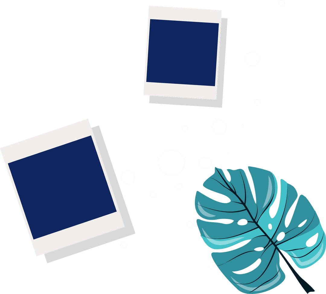 Floating Film Frames on Transparent Backdrop with Teal Monstera Leaf