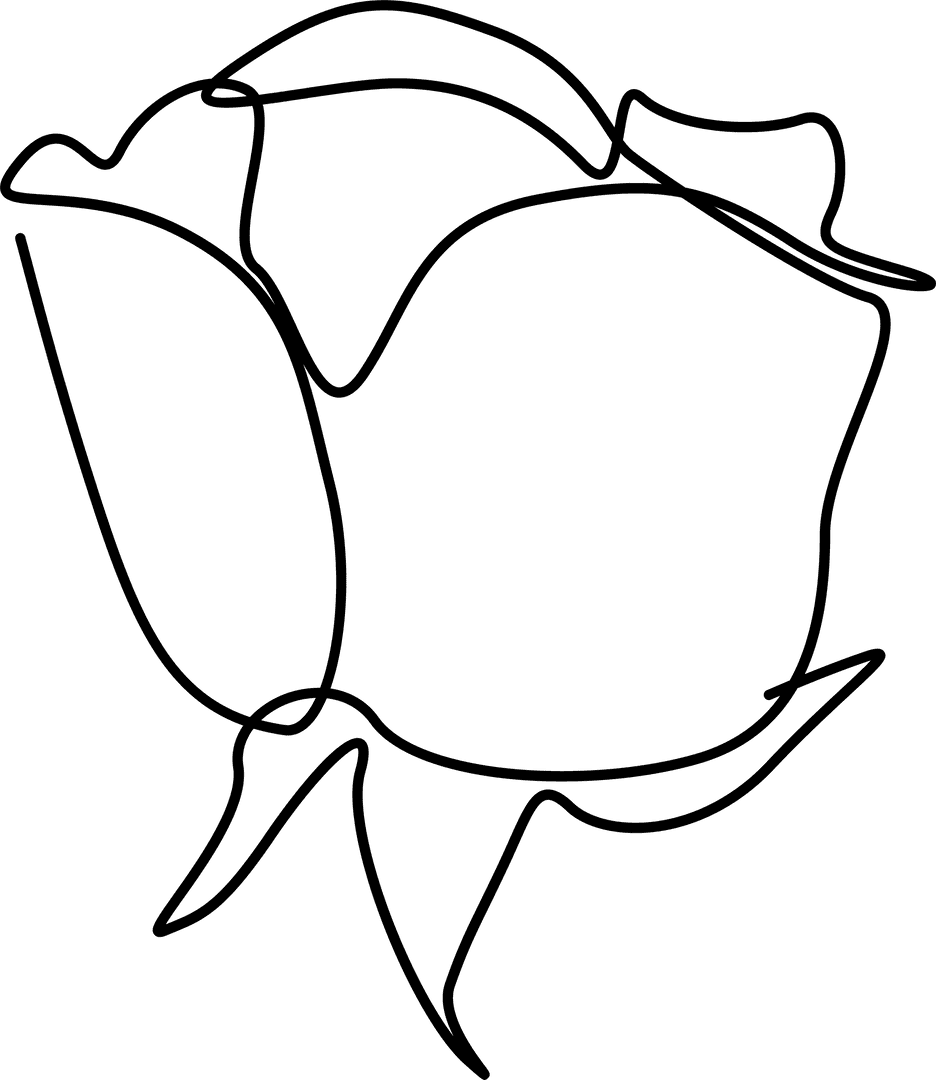 Elegant Single Rose Line Art on Transparent Background