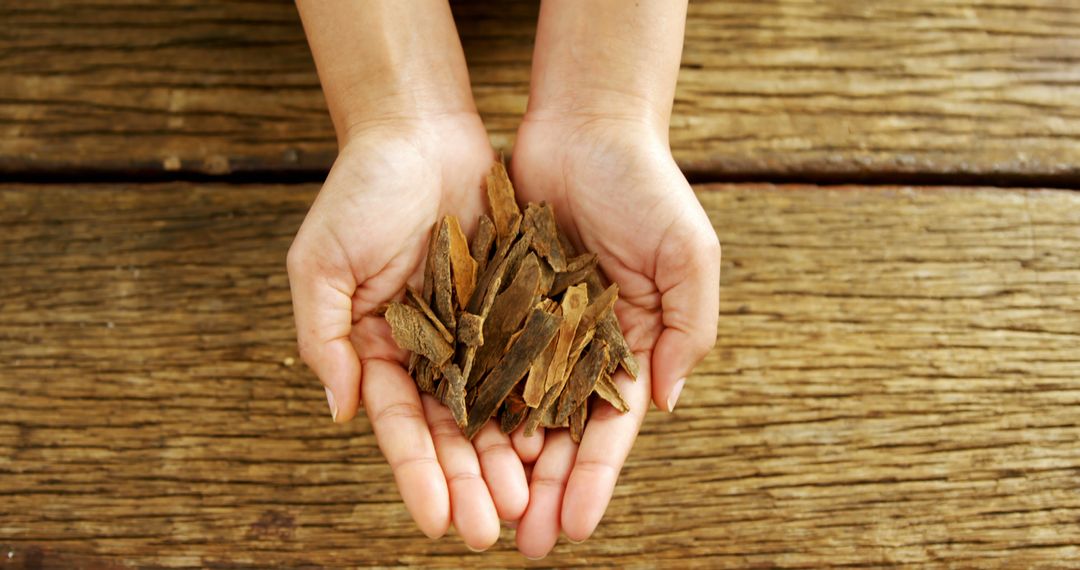 Hands Holding Dried Bark Pieces Against Wooden Background - Free Images, Stock Photos and Pictures on Pikwizard.com