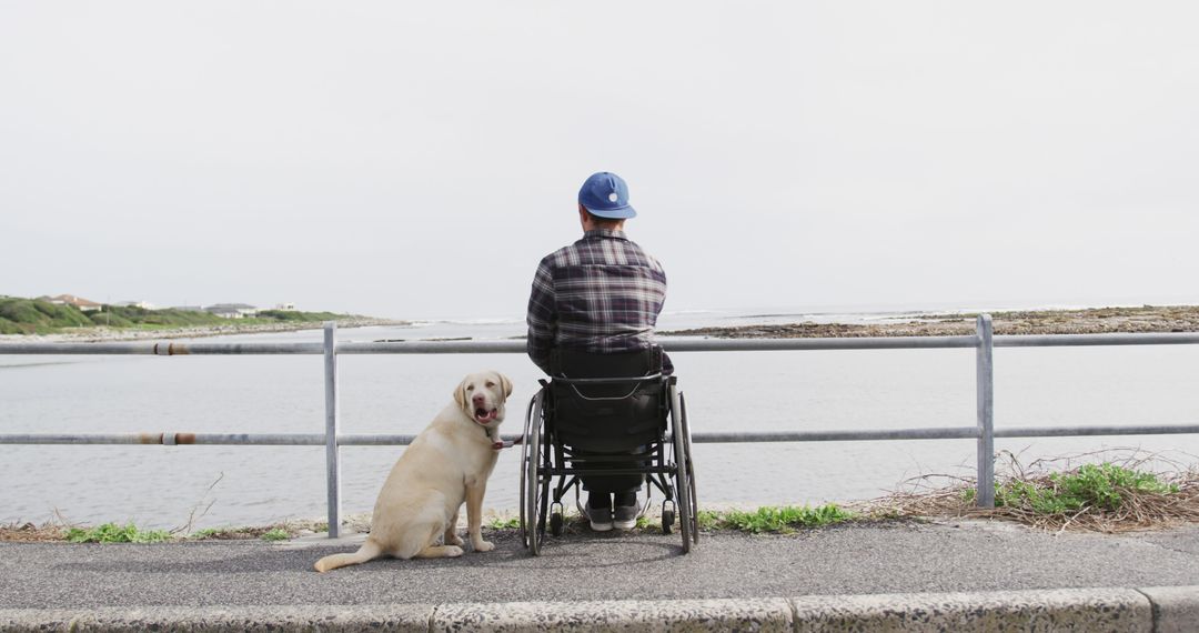 Person in wheelchair with service dog overlooking the lake in nature - Free Images, Stock Photos and Pictures on Pikwizard.com