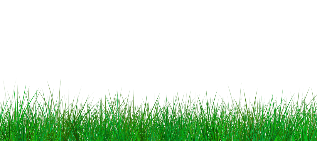 Lush Grass Field Illustration with Clear Transparent Background