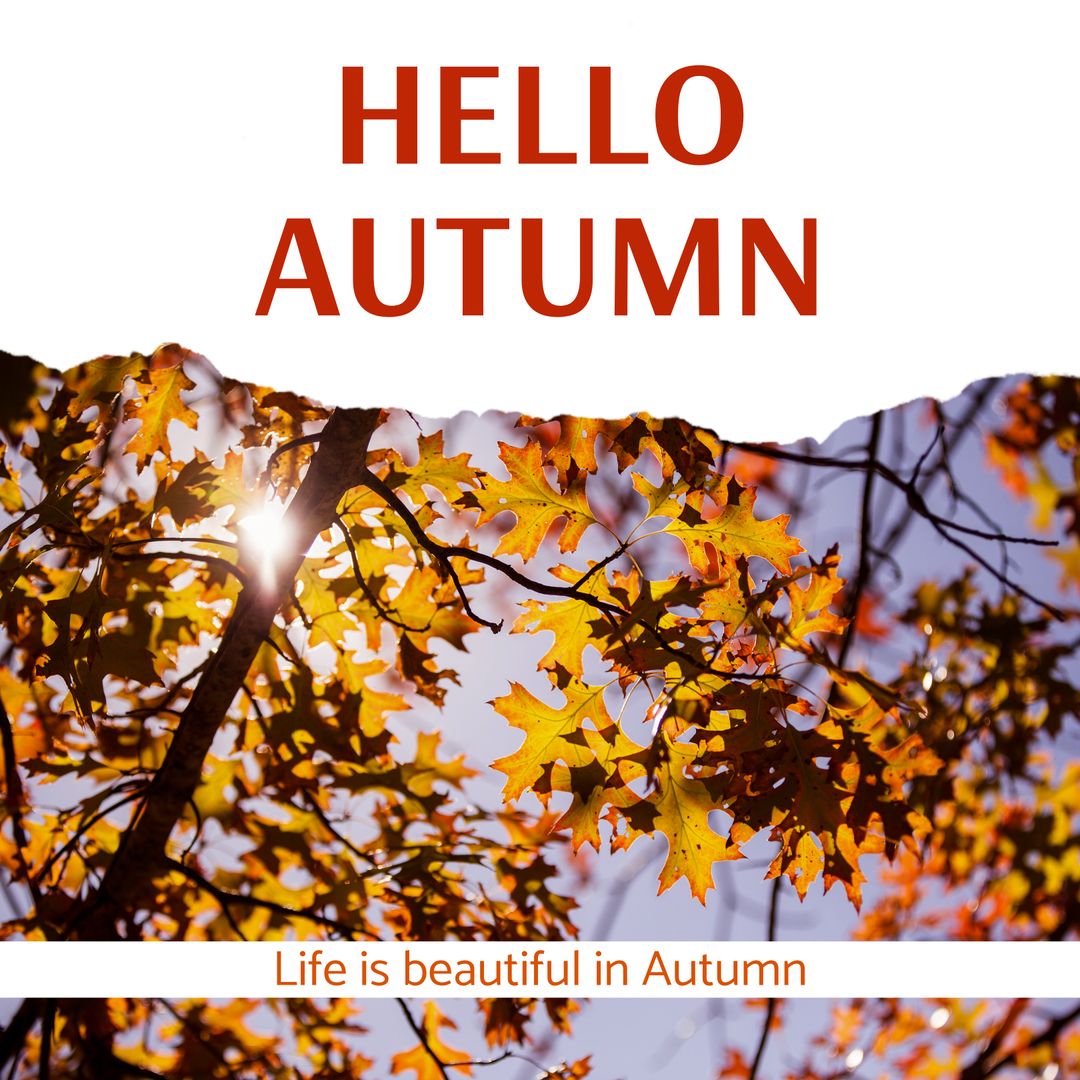 Hello Autumn Greeting with Fall Foliage Background - Download Free Stock Templates Pikwizard.com