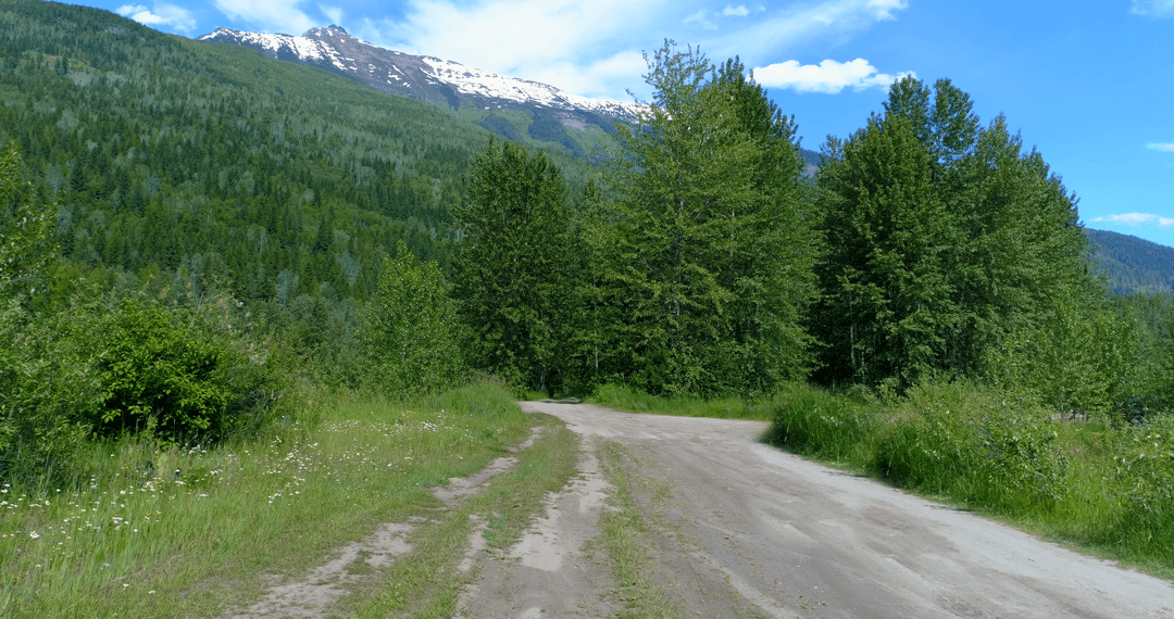 Dirt Road Bending Through Forest against Majestic Mountains under Transparent Sky