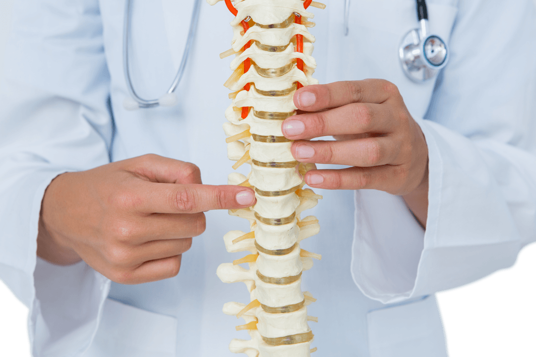 Transparent Display of Doctor Pointing at Spine Model