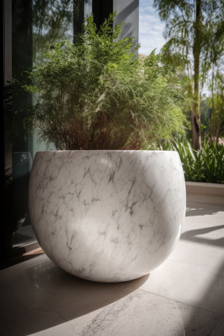 Luxurious Marble Planter with Lush Fern in Sunlit Modern Patio - Free Images, Stock Photos and Pictures on Pikwizard.com